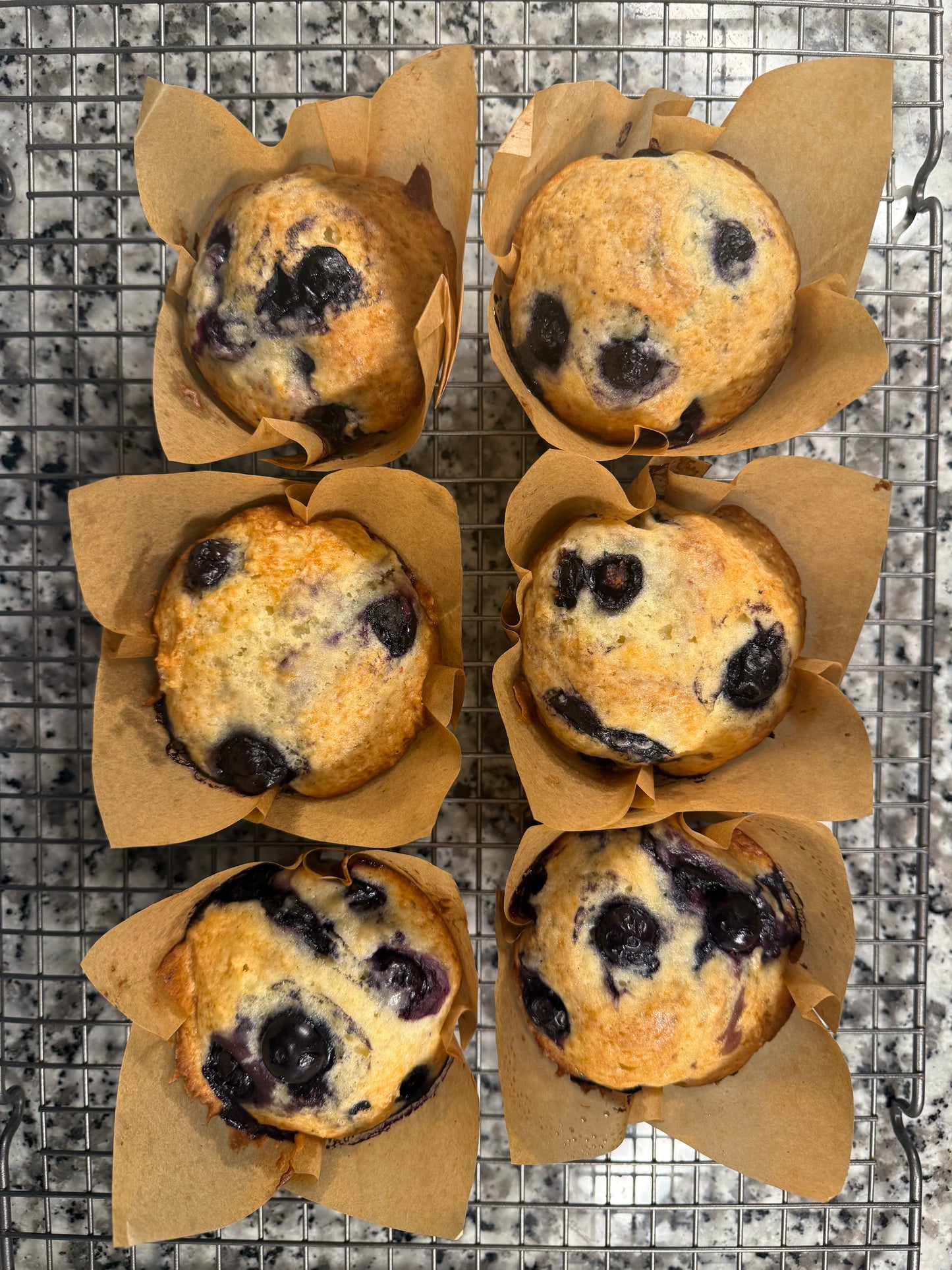 Bluberry (Full Dozen)